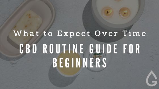 Understanding Your CBD Routine: A Guide for Beginners
