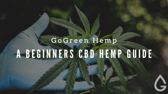 A Beginner's Guide to CBD