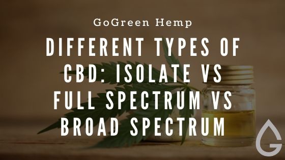 The Different Types of CBD: A Practical Guide to Isolate, Full-Spectrum, and Broad-Spectrum