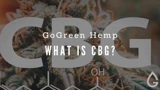 What Is CBG? A Guide to Cannabigerol from Hemp