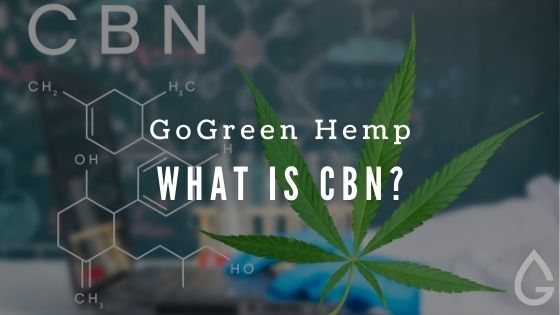 What Is CBN? A Guide to Cannabinol from Hemp