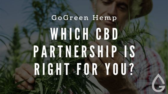 CBD Partnership Programs: A Comparison Guide to Wholesale, Affiliate, and Private Label