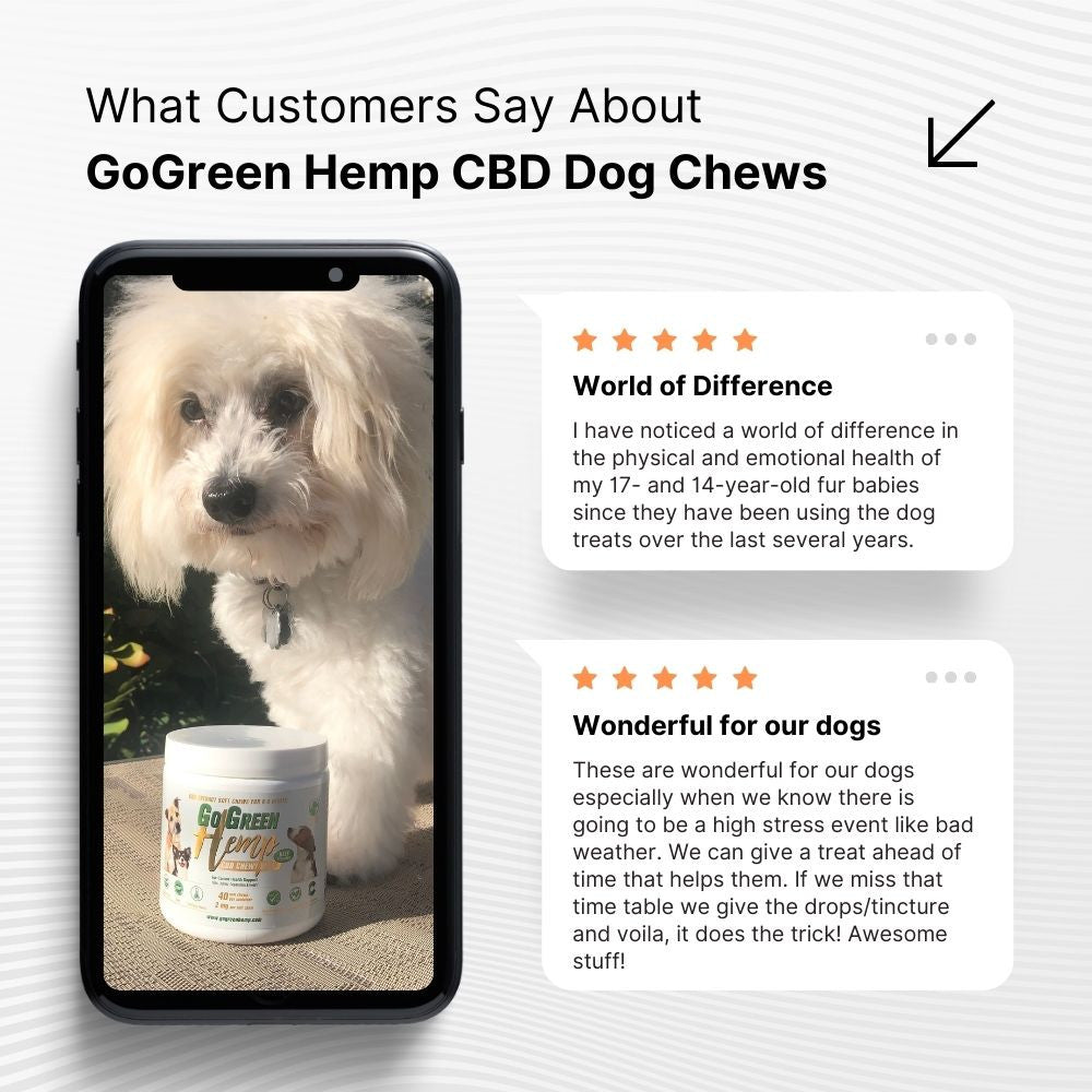 CBD Dog Treats customer reviews showing improved mobility and calm in dogs